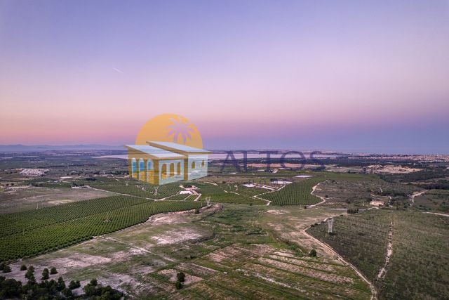 Bungalow in San Miguel De Salinas - Altos Homes Spain SL